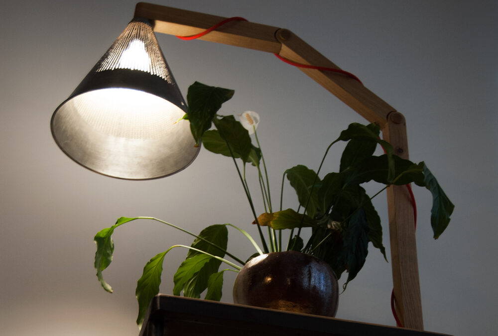 Lampa